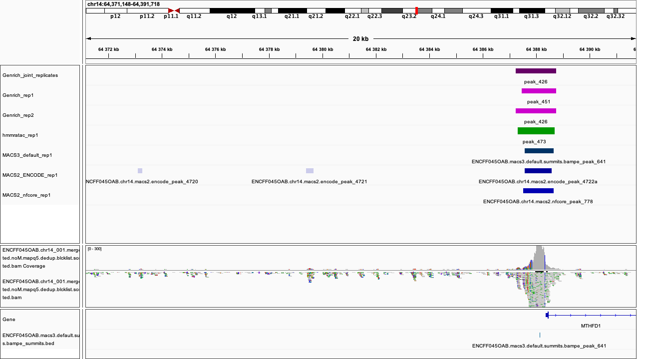../../../_images/atacseq_region5.png