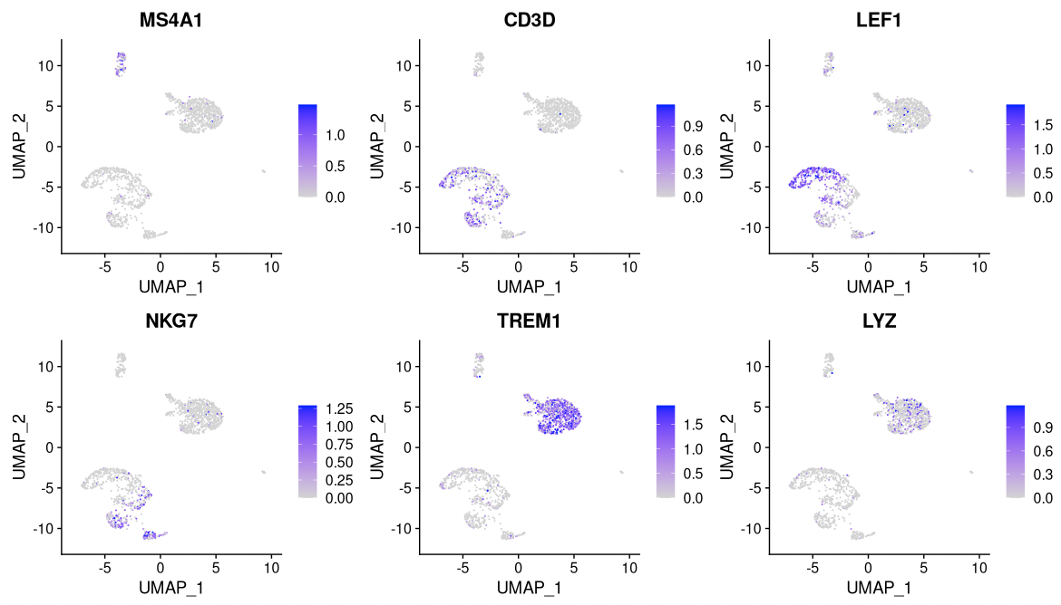 Gene activity