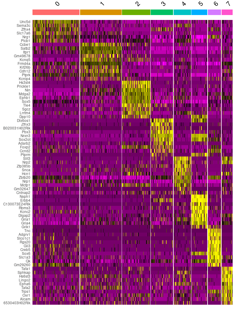 Marker gene expression