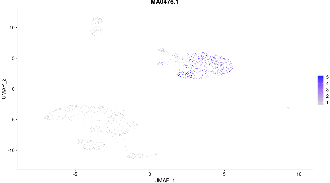 Motif activity